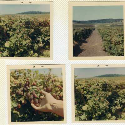 Johnsinemaalbum058