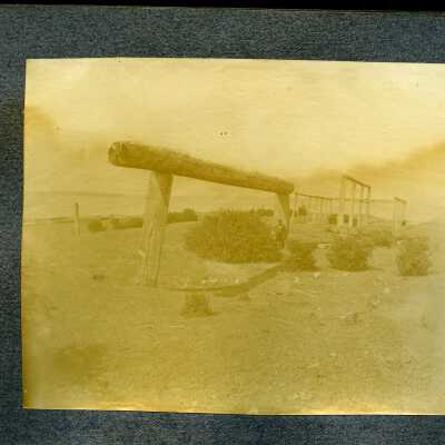 Photograph