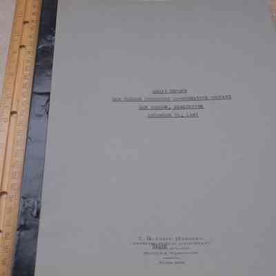 Audit Statement