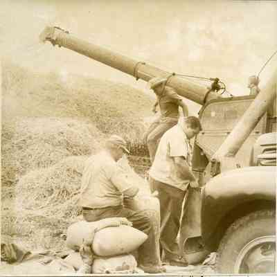 Holt Threshing - Crescent Harbor, 1967