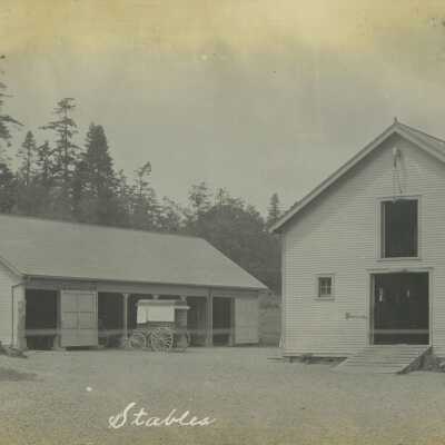 Postcard, Photographic