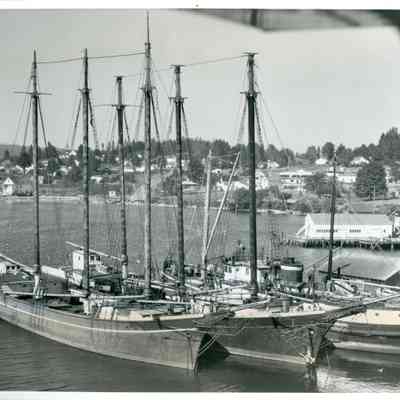 Pacific Coast Codfish Co. Fleet