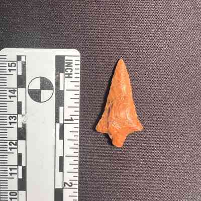 Rabbit Island Stemmed Point