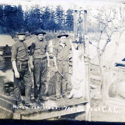 Postcard, Photographic, Photographic