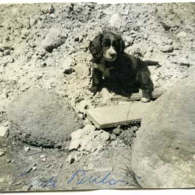 Print, Photographic