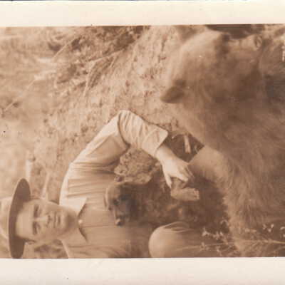 Postcard, Photographic