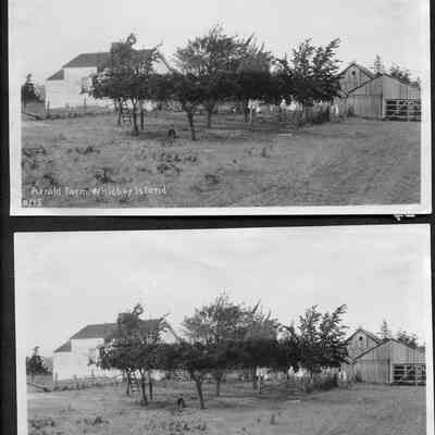 152 - Joe and Nettie Arnold's farm, August 1915 - LaVerne Arnold in orchard: "Old Abbott Place"
