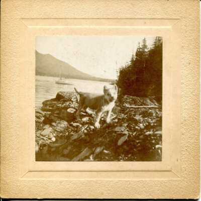 Print, Photographic