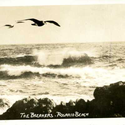 Postcard, Photographic, Photographic