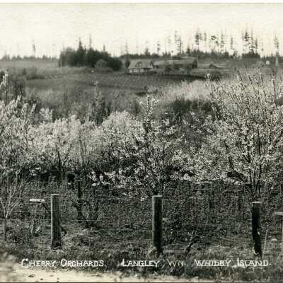 Postcard, Photographic