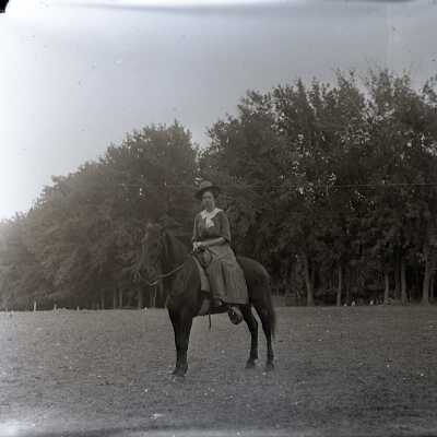 Negative, Glass-plate