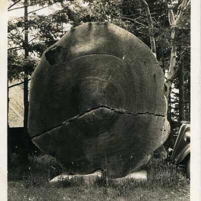 Postcard, Photographic, Photographic