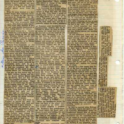 Newspaper Article
