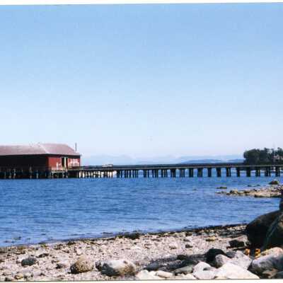 Photograph