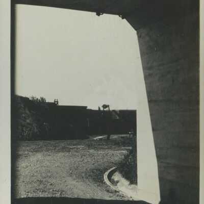 Postcard, Photographic