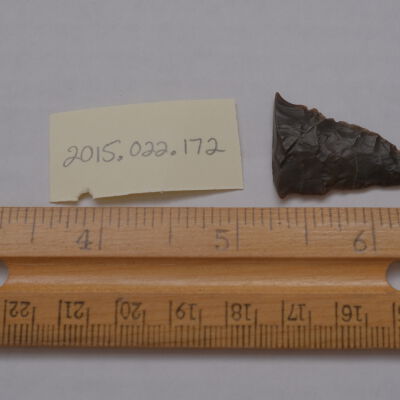 Projectile Point