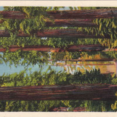Redwood Avenue, In the California Mountains