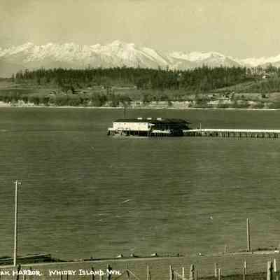 View of the Olympic Mountains and Washington Co-op Dock - Oak Harbor