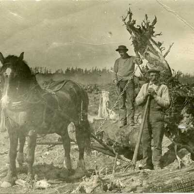 Postcard, Photographic, Photographic