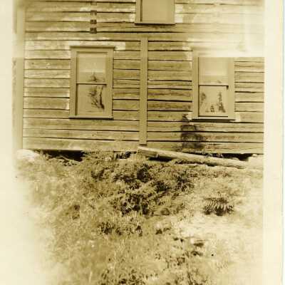 Photograph