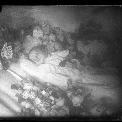 Negative, Glass-plate