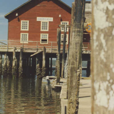 Photograph