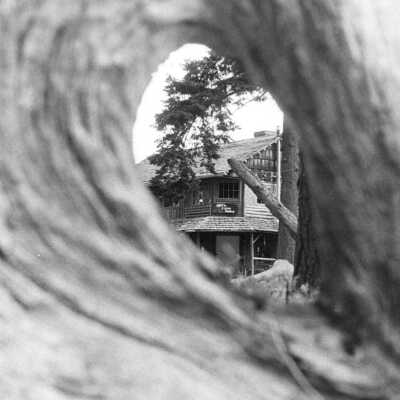 Knot Hole View
