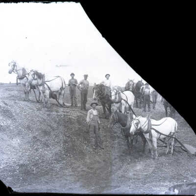 Negative, Glass-plate
