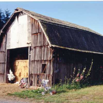 Photograph