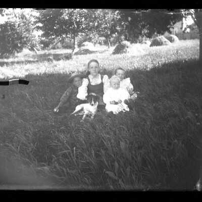 Negative, Glass-plate