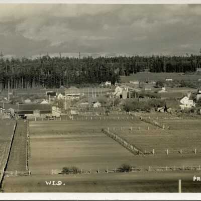 Postcard, Photographic, Photographic