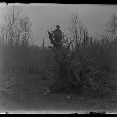 Man sitting on tree root: Origsize: 4x5; Origformat: Negative