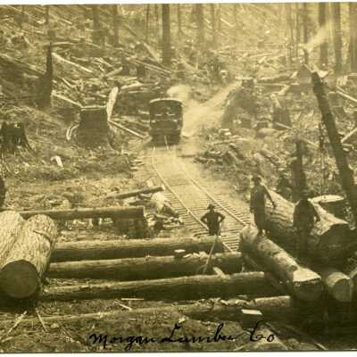 Morgan Lumber Co. Postcard