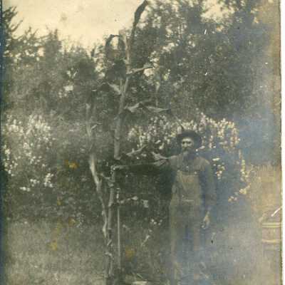 Print, Photographic
