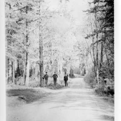 Print, Photographic