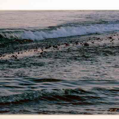 September Surf