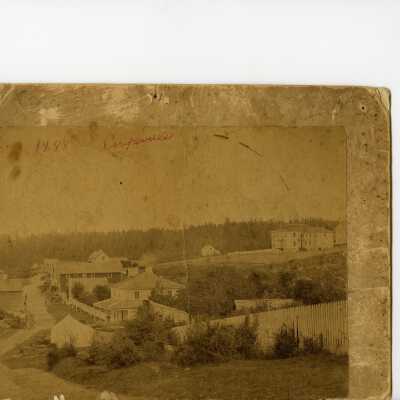 Print, Photographic