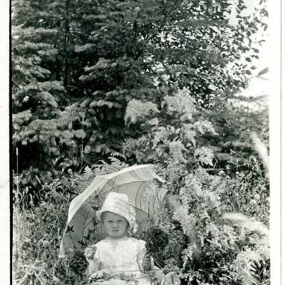 Postcard, Photographic