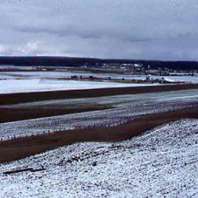 Snow on Ebey's Prairie