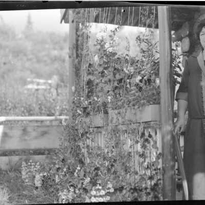Negative, Film