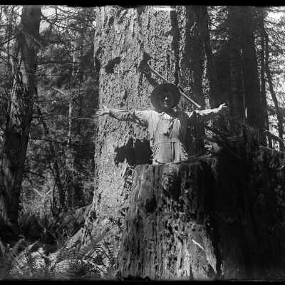 Glass Plate Negative