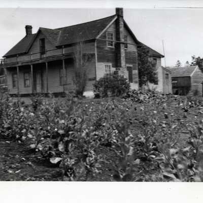 Photograph