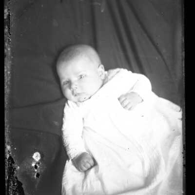 Negative, Glass-plate