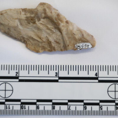 Projectile Point