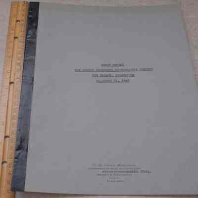 Audit Statement