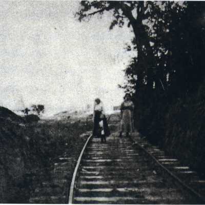 Photograph