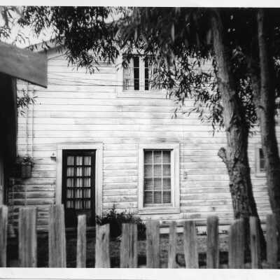 Photograph