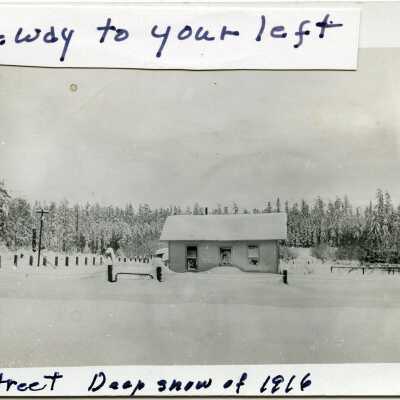 Postcard, Photographic