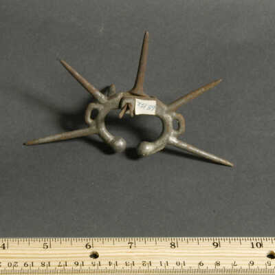 Ring, Animal-nose