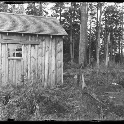 Man and his cabin in the woods: Origsize: 4x5; Origformat: Negative